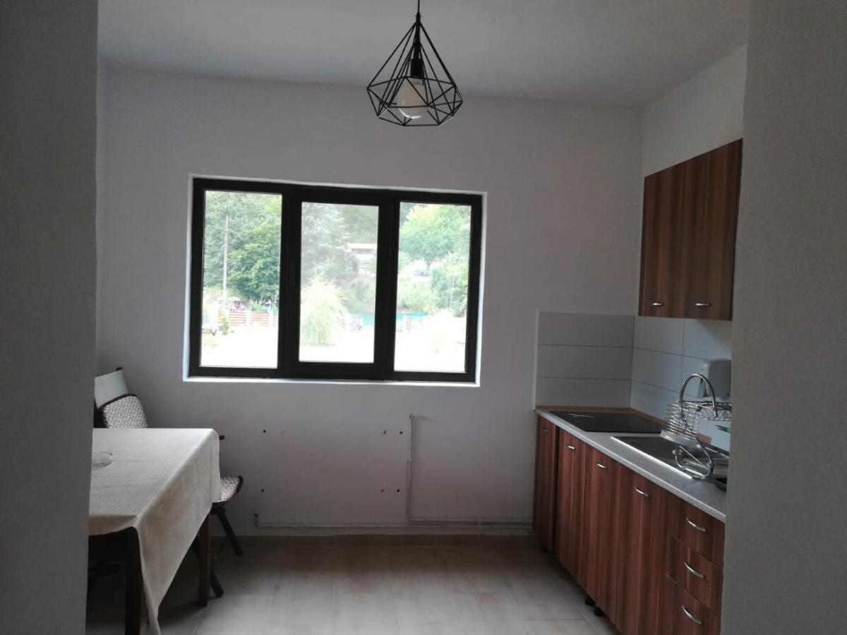 דירות Ogradina Casa Colt De Rai מראה חיצוני תמונה